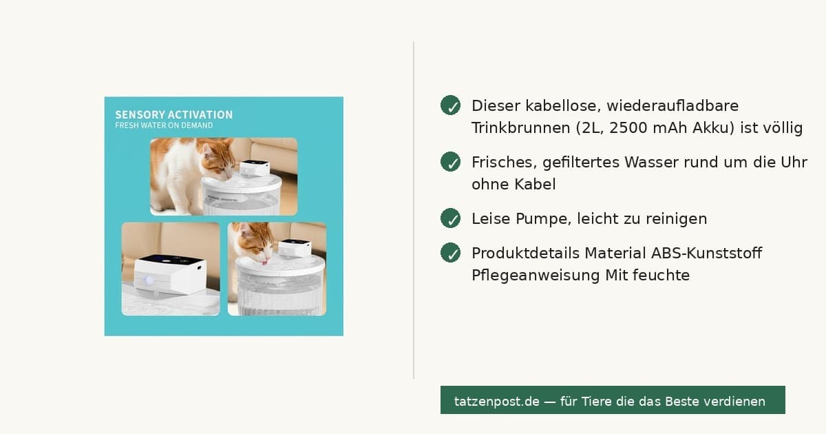 Trinkbrunnen für Haustiere – 2L kabellos, wiederaufladbar 6