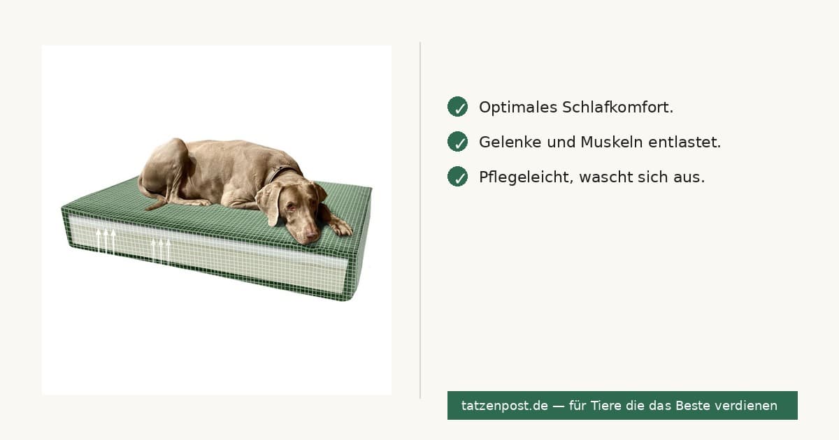 Madison Orthopädisches Kissen Velvet Grün S 3