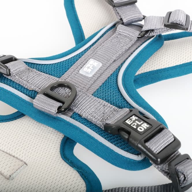 Duvoplus EXPLOR Ultimate Fit No-Pull-Geschirr - petrol blue - S - 35-45cm - 40-52cm 3