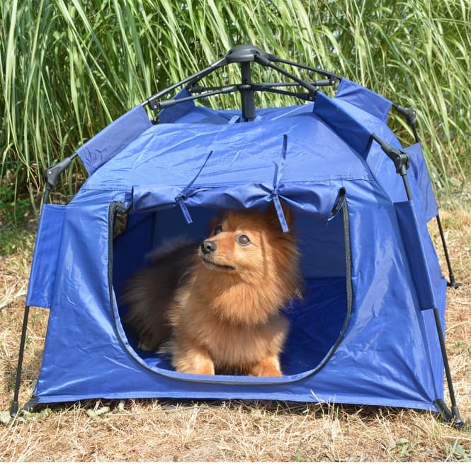 Duvoplus Hundezelt - 70 x 70 x 47cm 3