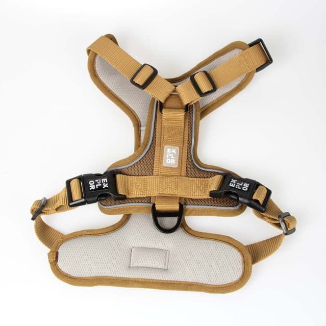 Duvoplus EXPLOR Ultimate Fit No-Pull-Geschirr - honey gold - XS - 28-37cm - 32-43cm 4