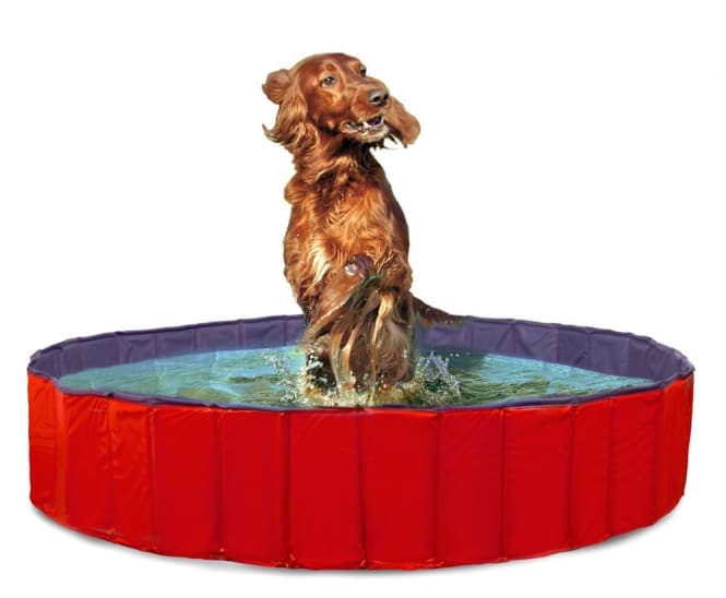 Karlie DOGGY POOL der Swimmingpool für Hunde - Rot-Blau 2
