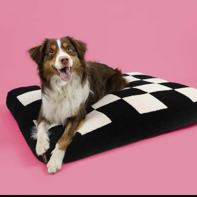 Coockoo Hundekissen Cozy Block - 60x50x10cm 2