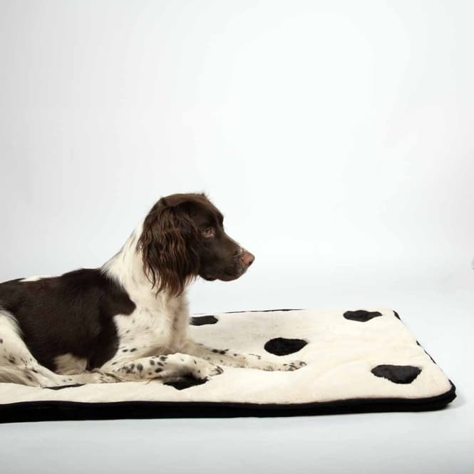 Coockoo Hundedecke Domino Dream - 120x60cm 3