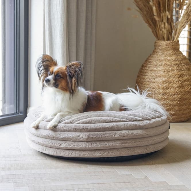 Designed by Lotte Hundebett Reza - rund, beige - 65 x 16 cm 2