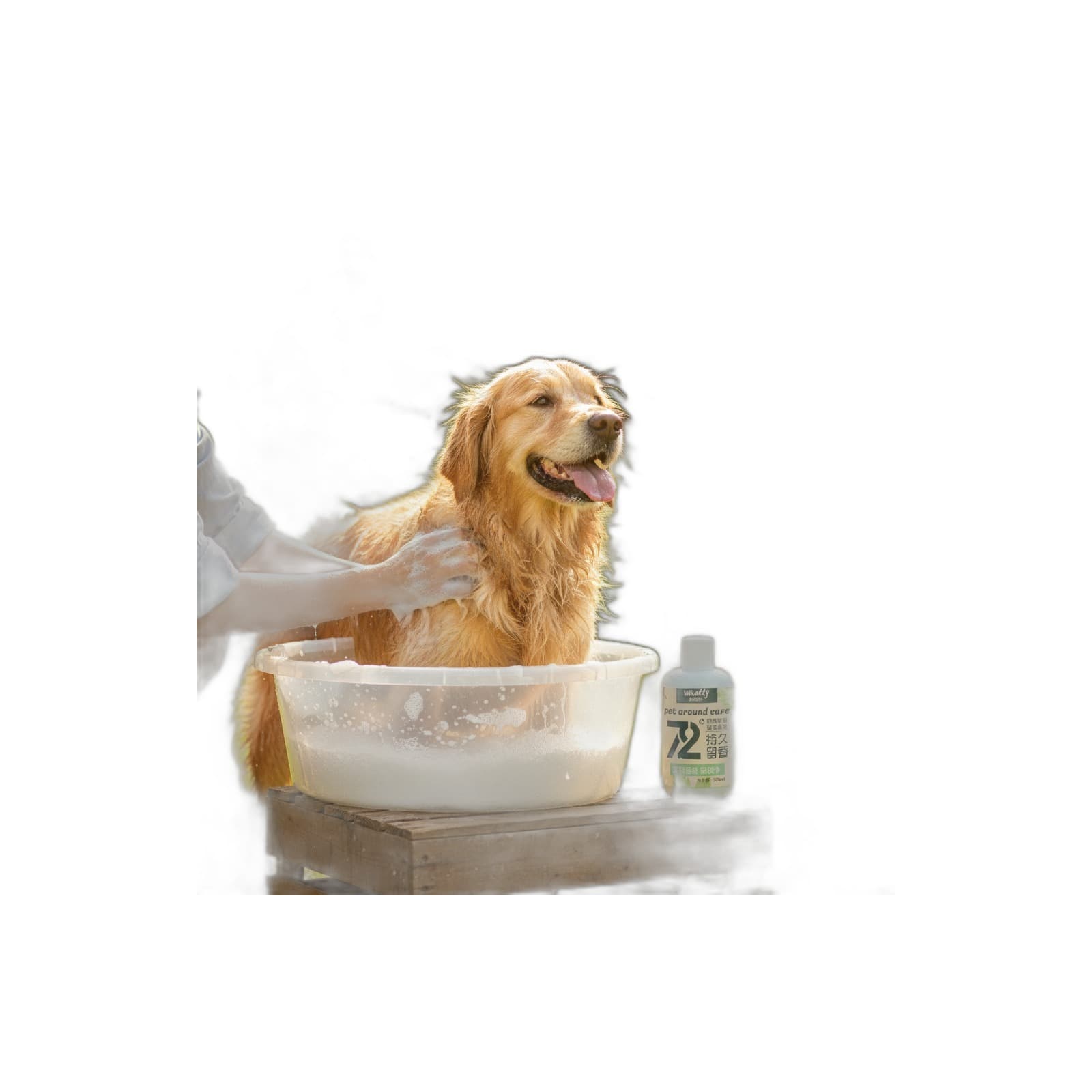 Hundeshampoo mit Pflanzenextrakt – 500ml: Produktbild