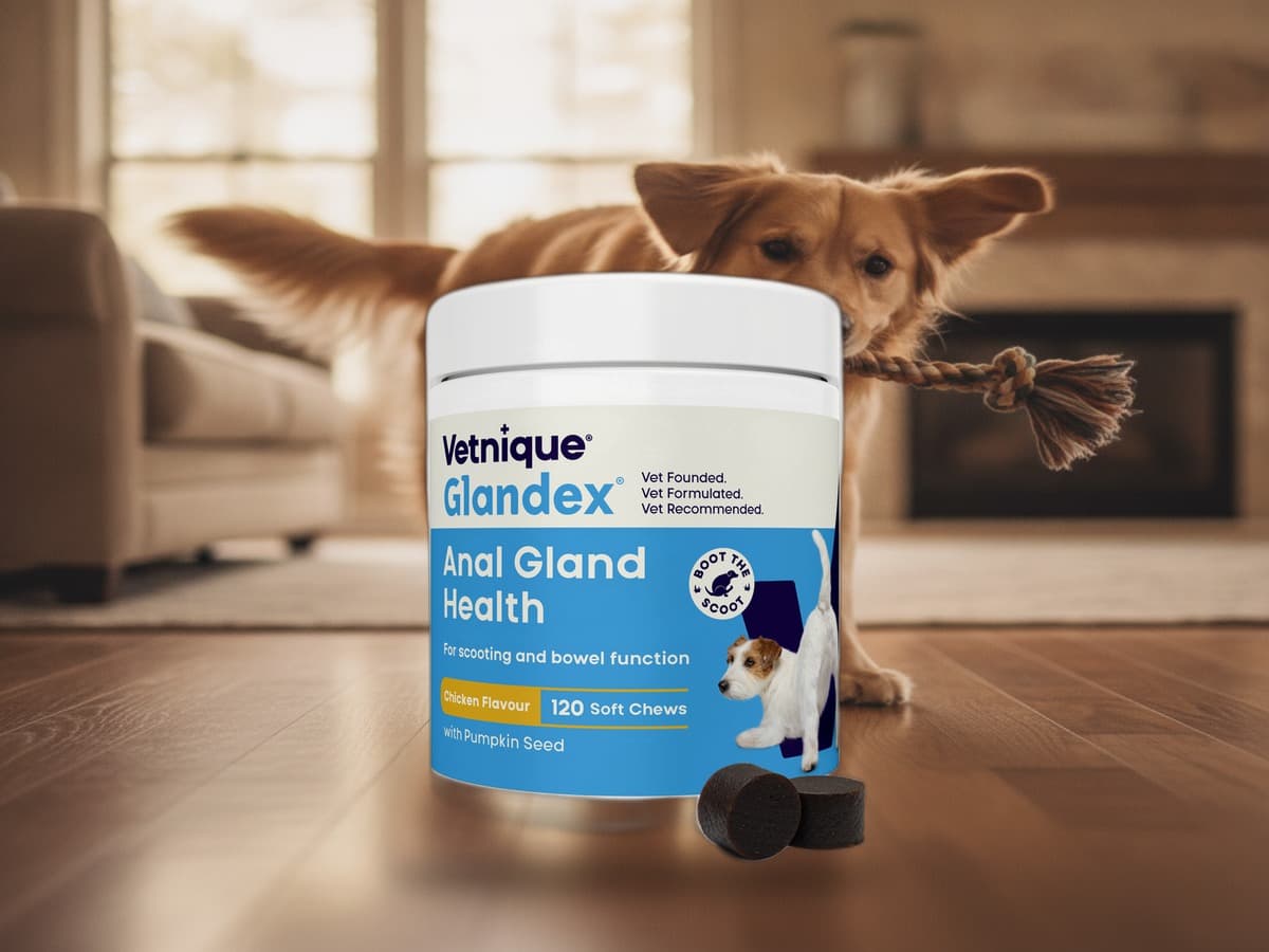 Glandex Analdrüsen-Kausnacks Huhn 120 Stück (480 g): Produktbild